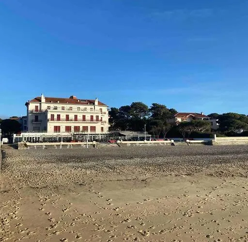 De 21m2 Au Moulleau A 20 M De La *