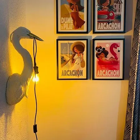 De 21m2 Au Moulleau A 20 M De La *