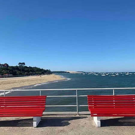 De 21m2 Au Moulleau A 20 M De La 公寓 阿卡雄